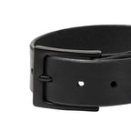 Black leather belt with a buckle on a white background